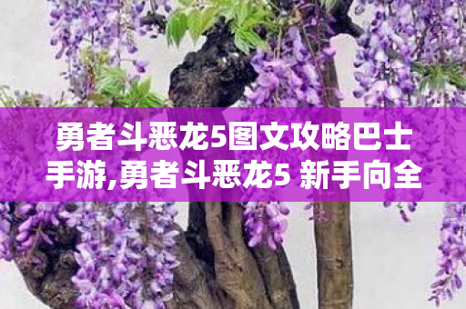 勇者斗恶龙5图文攻略巴士手游,勇者斗恶龙5 新手向全流程图文游玩指南