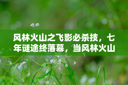 风林火山之飞影必杀技，七年谜途终落幕，当风林火山的赛道再无引擎轰鸣，泪目