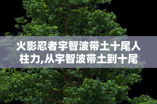 火影忍者宇智波带土十尾人柱力,从宇智波带土到十尾人柱力,面具之下的燃烧与陨灭 火影忍者宇智波带土十尾人柱力,从宇智波带土到十尾人柱力,面具之下的燃烧与陨灭