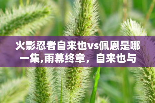 火影忍者自来也vs佩恩是哪一集,雨幕终章，自来也与佩恩的宿命对决