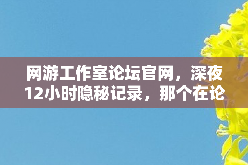 网游工作室论坛官网，深夜12小时隐秘记录，那个在论坛哽咽着说再见的少年