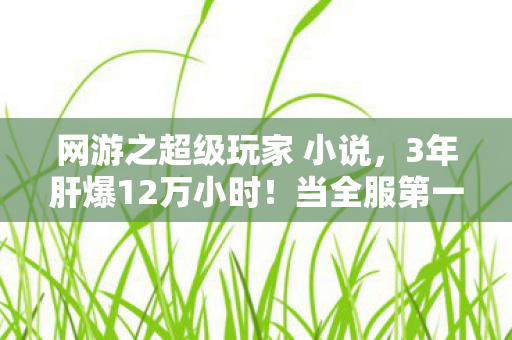 网游之超级玩家 小说,3年肝爆12万小时!当全服第一删号时,服务器竟为他亮起血色倒计时 网游之超级玩家 小说,3年肝爆12万小时!当全服第一删号时,服务器竟为他亮起血色倒计时