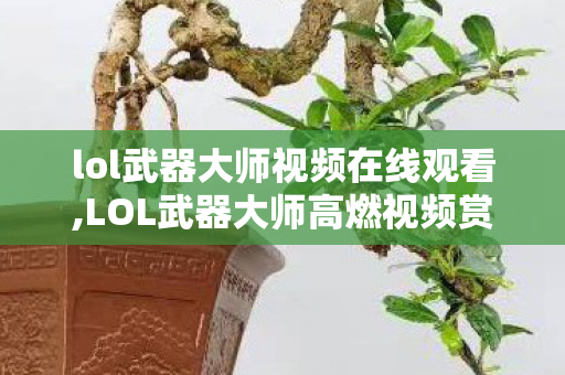 lol武器大师视频在线观看,LOL武器大师高燃视频赏析，掌握贾克斯精髓轻松上分