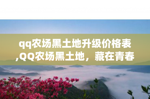 qq农场黑土地升级价格表,QQ农场黑土地，藏在青春里的田园旧时光