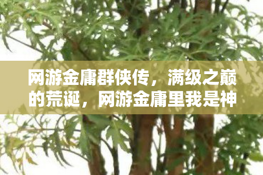 网游金庸群侠传，满级之巅的荒诞，网游金庸里我是神，现实人生中我负分