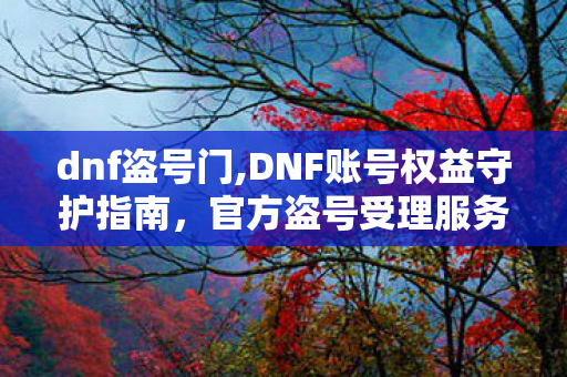 dnf盗号门,DNF账号权益守护指南，官方盗号受理服务使用全攻略