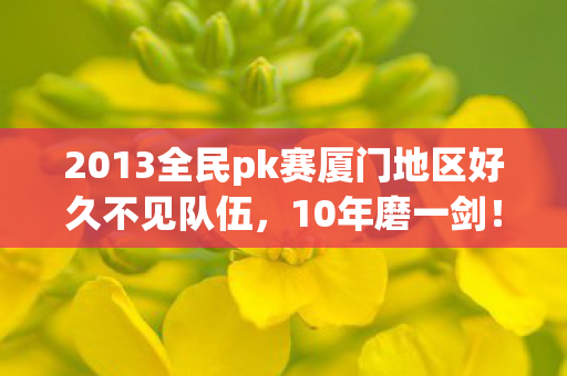 2013全民pk赛厦门地区好久不见队伍，10年磨一剑！神秘玩家背后，藏着多少PK赛未竟的遗憾与心酸？
