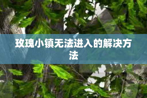 玫瑰小镇无法进入的解决方法图片