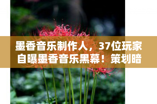 墨香音乐制作人,37位玩家自曝墨香音乐黑幕!策划暗改数据?老炮,我键盘都笑裂了 墨香音乐制作人,37位玩家自曝墨香音乐黑幕!策划暗改数据?老炮,我键盘都笑裂了