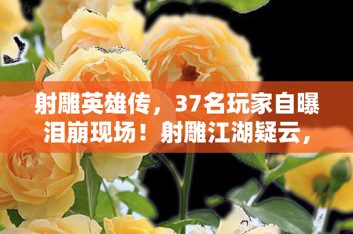 射雕英雄传，37名玩家自曝泪崩现场！射雕江湖疑云，这操作谁绷得住啊？