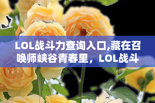 LOL战斗力查询入口,藏在召唤师峡谷青春里,LOL战斗力查询盒子的旧日情怀 LOL战斗力查询入口,藏在召唤师峡谷青春里,LOL战斗力查询盒子的旧日情怀