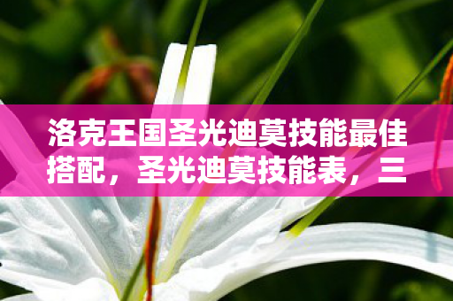 洛克王国圣光迪莫技能最佳搭配，圣光迪莫技能表，三层悖论交织下的灵魂震颤与自由之困