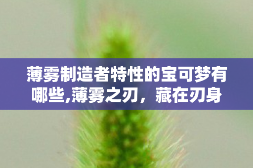 薄雾制造者特性的宝可梦有哪些,薄雾之刃，藏在刃身肌理里的朦胧美学设计