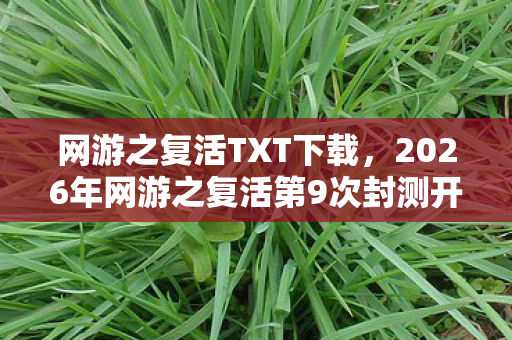 网游之复活TXT下载,2026年网游之复活第9次封测开启!99%玩家卡在隐藏关卡? 网游之复活TXT下载,2026年网游之复活第9次封测开启!99%玩家卡在隐藏关卡?