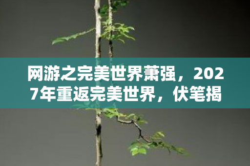 网游之完美世界萧强，2027年重返完美世界，伏笔揭开旧情殇，鼻子一酸忆往昔
