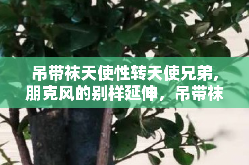 吊带袜天使性转天使兄弟,朋克风的别样延伸，吊带袜天使性转二创的鲜活魅力