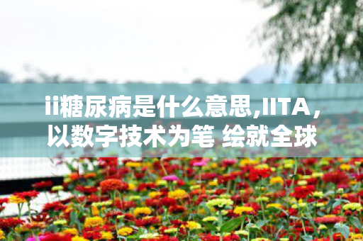 ii糖尿病是什么意思,IITA，以数字技术为笔 绘就全球智慧农业的新图景