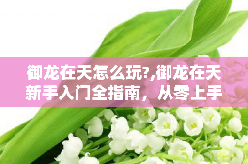 御龙在天怎么玩?,御龙在天新手入门全指南,从零上手玩转热血三国乱世 御龙在天怎么玩?,御龙在天新手入门全指南,从零上手玩转热血三国乱世