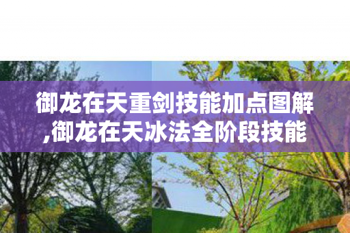 御龙在天重剑技能加点图解,御龙在天冰法全阶段技能加点指南，兼顾输出与生存的最优思路