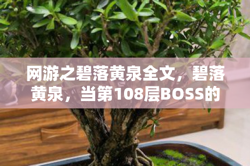网游之碧落黄泉全文，碧落黄泉，当第108层BOSS的死亡倒计时，敲响玩家自由意志的丧钟