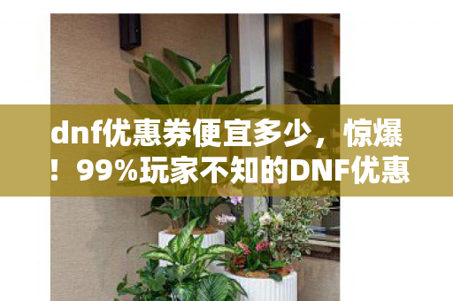 dnf优惠券便宜多少,惊爆!99%玩家不知的DNF优惠券隐藏机制,概率暗改实锤! dnf优惠券便宜多少,惊爆!99%玩家不知的DNF优惠券隐藏机制,概率暗改实锤!