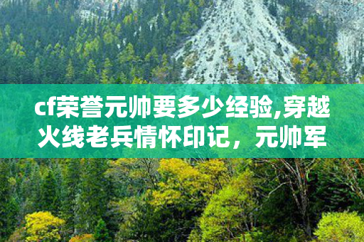 cf荣誉元帅要多少经验,穿越火线老兵情怀印记，元帅军衔的成长记忆