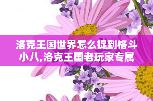 洛克王国世界怎么捉到格斗小八,洛克王国老玩家专属回忆，格斗小八获取全指南