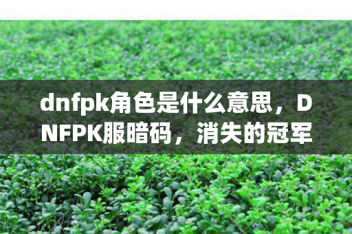 dnfpk角色是什么意思,DNFPK服暗码,消失的冠军ID与永夜回廊的死亡循环 dnfpk角色是什么意思,DNFPK服暗码,消失的冠军ID与永夜回廊的死亡循环