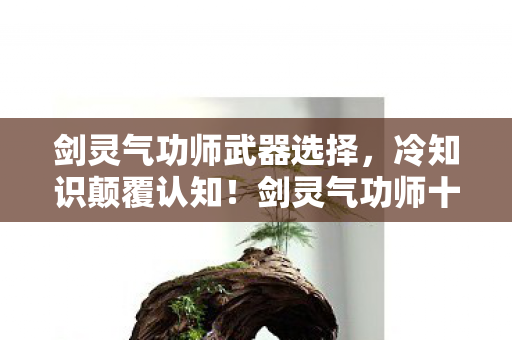 剑灵气功师武器选择,冷知识颠覆认知!剑灵气功师十年老玩家竟被这些设定目瞪口呆 剑灵气功师武器选择,冷知识颠覆认知!剑灵气功师十年老玩家竟被这些设定目瞪口呆