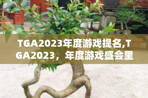 TGA2023年度游戏提名,TGA2023,年度游戏盛会里的热爱与多元回响 TGA2023年度游戏提名,TGA2023,年度游戏盛会里的热爱与多元回响
