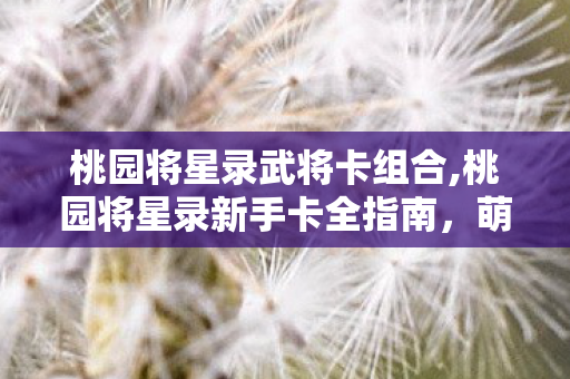 桃园将星录武将卡组合,桃园将星录新手卡全指南,萌新开局的第一份贴心助力 桃园将星录武将卡组合,桃园将星录新手卡全指南,萌新开局的第一份贴心助力