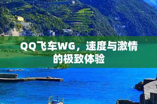 速度与激情的极致体验图片