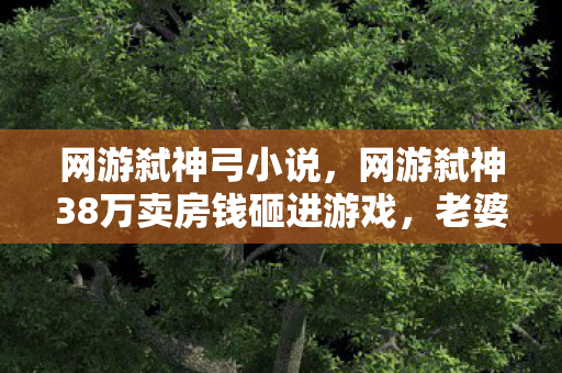 网游弑神弓小说,网游弑神38万卖房钱砸进游戏,老婆签完离婚协议我才吓一跳! 网游弑神弓小说,网游弑神38万卖房钱砸进游戏,老婆签完离婚协议我才吓一跳!