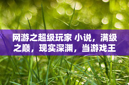 网游之超级玩家 小说,满级之巅,现实深渊,当游戏王者沦为生活负翁的灵魂震颤 网游之超级玩家 小说,满级之巅,现实深渊,当游戏王者沦为生活负翁的灵魂震颤