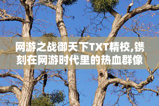 网游之战御天下TXT精校,镌刻在网游时代里的热血群像记忆 网游之战御天下TXT精校,镌刻在网游时代里的热血群像记忆
