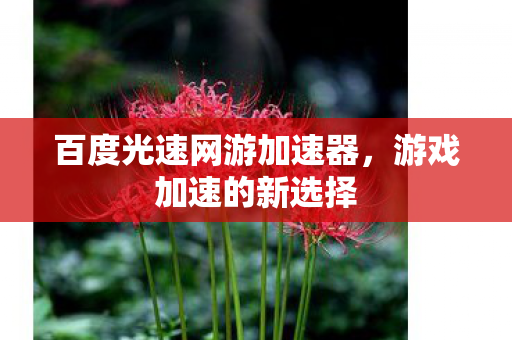百度光速网游加速器图片