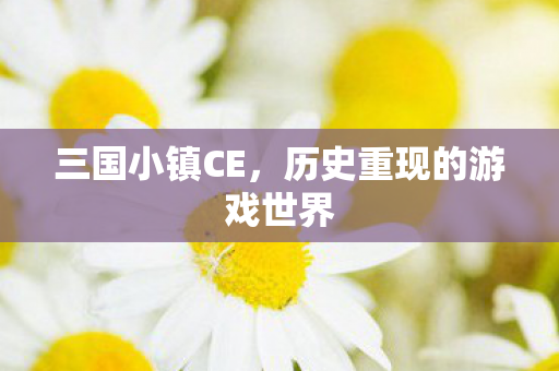 历史重现的游戏世界图片