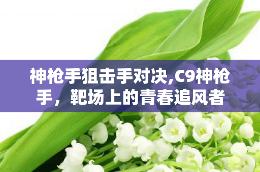 神枪手狙击手对决,C9神枪手,靶场上的青春追风者 神枪手狙击手对决,C9神枪手,靶场上的青春追风者