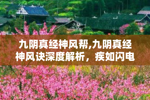 九阴真经神风帮,九阴真经神风诀深度解析,疾如闪电的风系武学实战体验 九阴真经神风帮,九阴真经神风诀深度解析,疾如闪电的风系武学实战体验