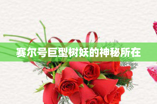 赛尔号巨型树妖的神秘所在图片