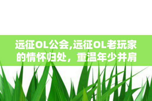 远征OL公会,远征OL老玩家的情怀归处,重温年少并肩的热血国战岁月 远征OL公会,远征OL老玩家的情怀归处,重温年少并肩的热血国战岁月