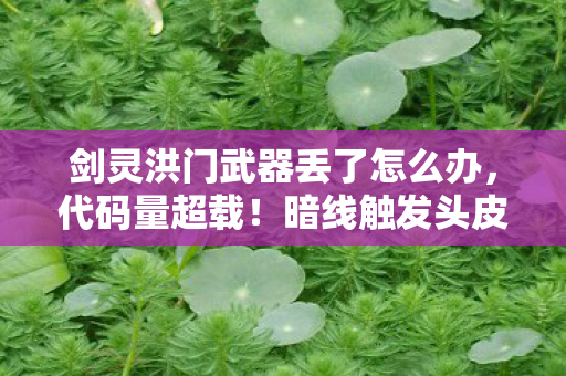 剑灵洪门武器丢了怎么办,代码量超载!暗线触发头皮发麻,洪门武器竟是数字文明的叛乱密钥 剑灵洪门武器丢了怎么办,代码量超载!暗线触发头皮发麻,洪门武器竟是数字文明的叛乱密钥