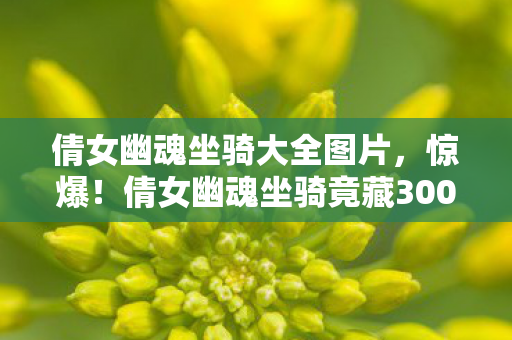 倩女幽魂坐骑大全图片,惊爆!倩女幽魂坐骑竟藏300万隐情?离职老兵掀桌,老子当年吓一跳! 倩女幽魂坐骑大全图片,惊爆!倩女幽魂坐骑竟藏300万隐情?离职老兵掀桌,老子当年吓一跳!