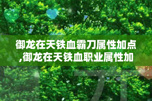 御龙在天铁血霸刀属性加点,御龙在天铁血职业属性加点全指南,适配不同玩法的最优思路 御龙在天铁血霸刀属性加点,御龙在天铁血职业属性加点全指南,适配不同玩法的最优思路