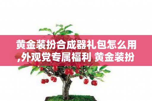 黄金装扮合成器礼包怎么用,外观党专属福利 黄金装扮合成器礼包打造游戏个性穿搭 黄金装扮合成器礼包怎么用,外观党专属福利 黄金装扮合成器礼包打造游戏个性穿搭