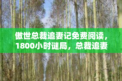 傲世总裁追妻记免费阅读,1800小时谜局,总裁追妻代码里藏着多少未寄出的泪目情书? 傲世总裁追妻记免费阅读,1800小时谜局,总裁追妻代码里藏着多少未寄出的泪目情书?
