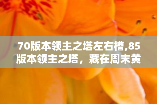 70版本领主之塔左右槽,85版本领主之塔,藏在周末黄昏里的阿拉德青春印记 70版本领主之塔左右槽,85版本领主之塔,藏在周末黄昏里的阿拉德青春印记
