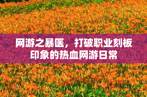 网游之暴医,打破职业刻板印象的热血网游日常 网游之暴医,打破职业刻板印象的热血网游日常