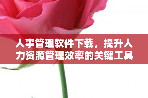 提升人力资源管理效率的关键工具图片
