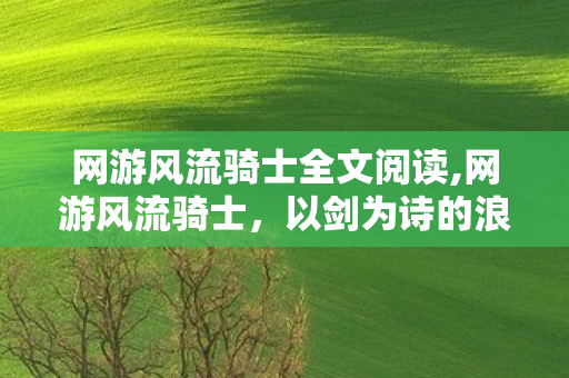 网游风流骑士全文阅读,网游风流骑士，以剑为诗的浪漫漫游者
